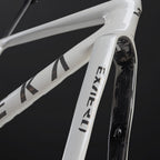 ExAero RDC Frameset