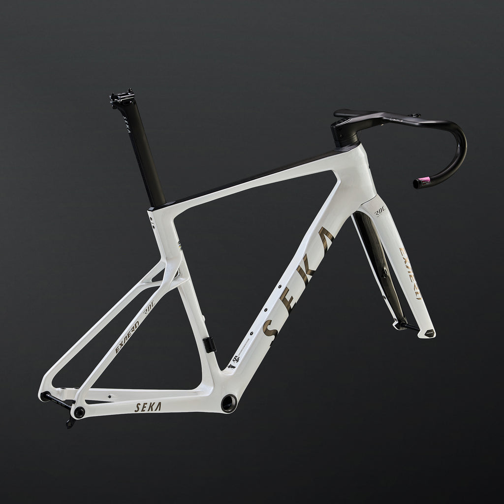 ExAero RDC Frameset