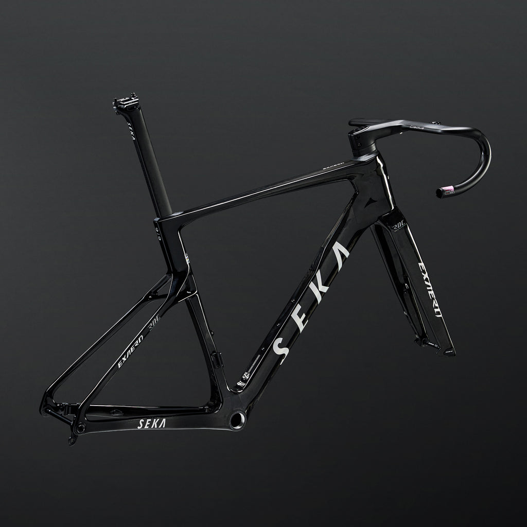 ExAero RDC Frameset