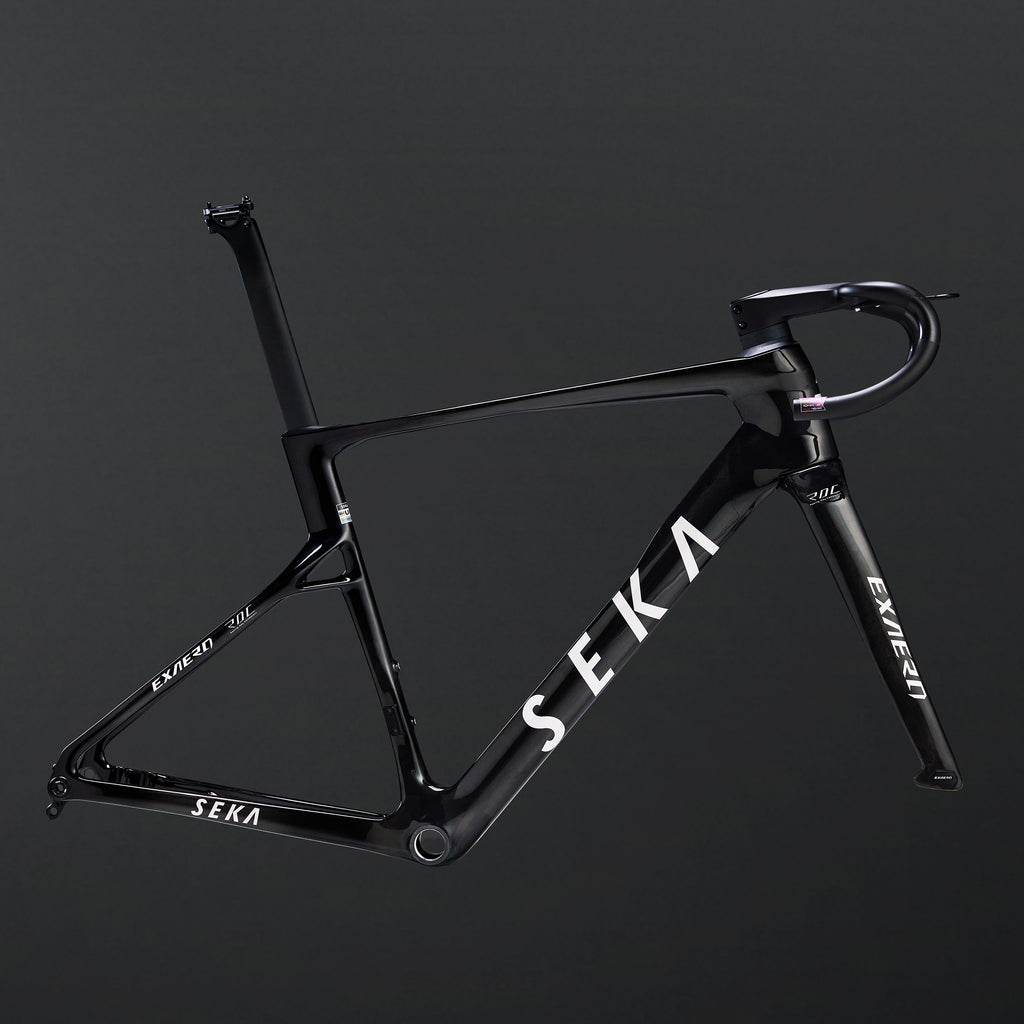 ExAero RDC Frameset