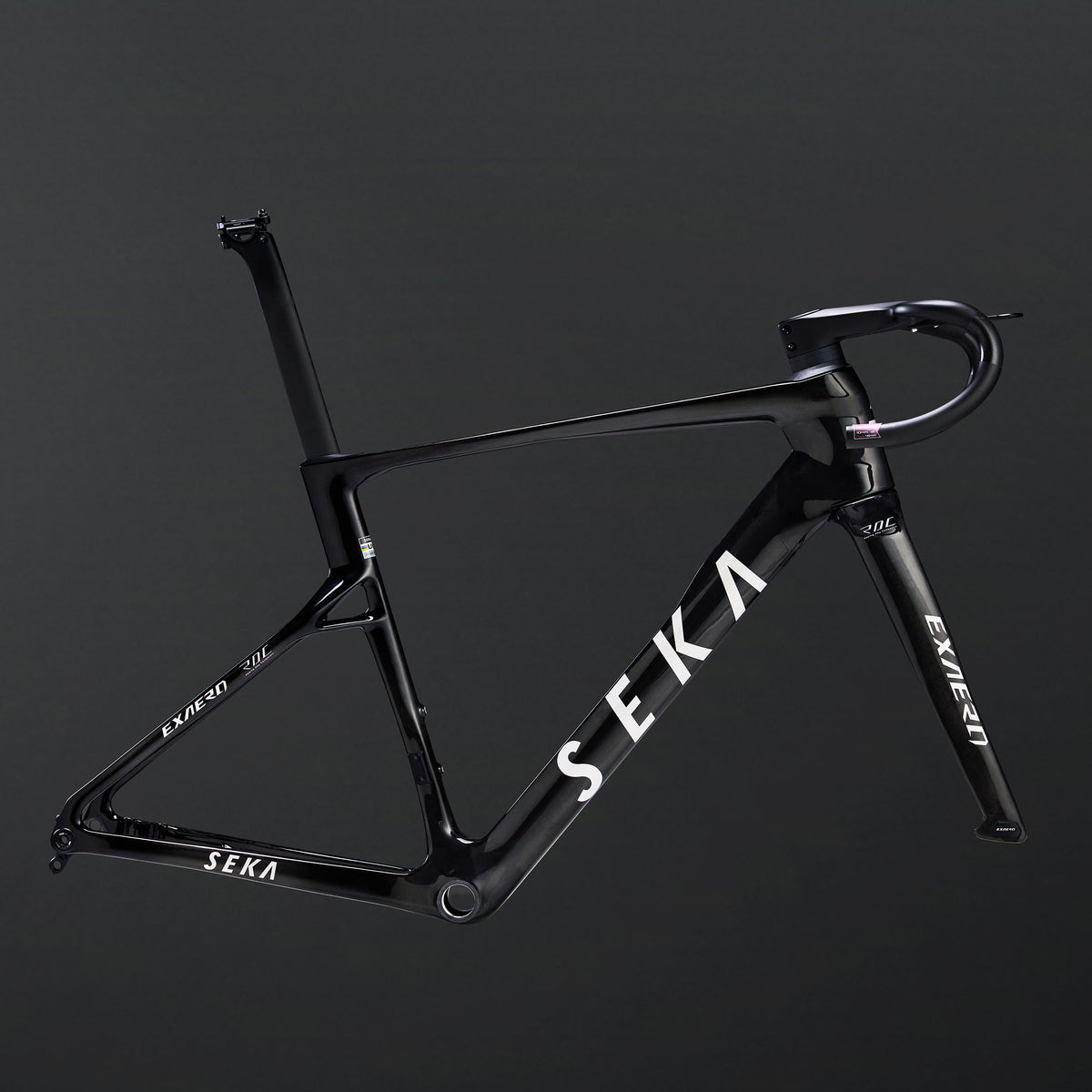 ExAero RDC Frameset